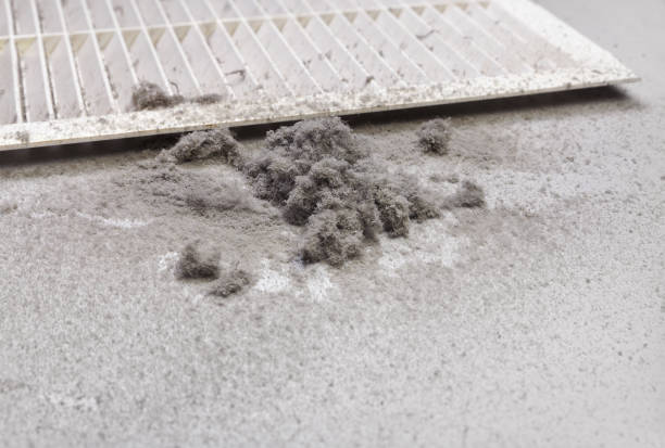 Best Ductwork Cleaning Services  in Millersville, TN