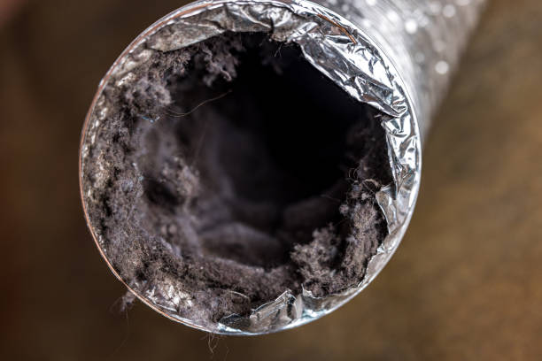 Best HVAC Air Duct Cleaning  in Millersville, TN