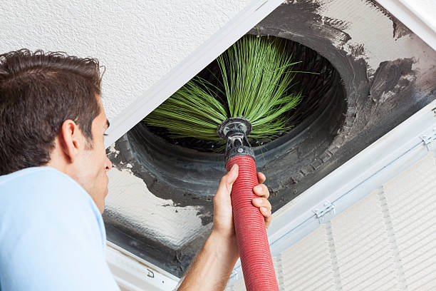 Best Home Air Vent Cleaning  in Millersville, TN