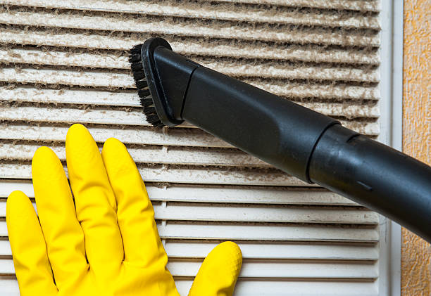 Best Local Air Duct Cleaning Services  in Millersville, TN